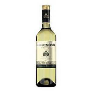 FEDERICO PATERNINA RUEDA VERDEJO