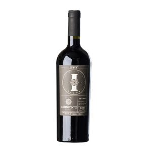 CAMPOTINTO TANNAT ICONO 0.75 LT
