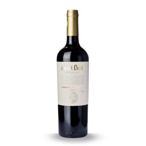 CASTEL PUJOL RESERVA CABERNET 0.75 LT