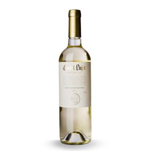 CASTEL PUJOL RESERVA SAUV. BLANC 0.75 LT(folklore)
