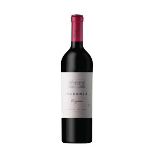 BRESSIA CONJURO TINTO COSECHA X 2013 0.75 LT