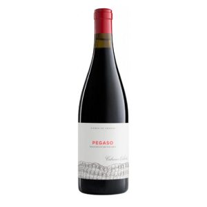 TELMO RODRIGUEZ PEGASO PIZARRA 0.75 LT