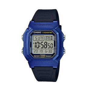 CASIO RELOJ W800HM2AVDF