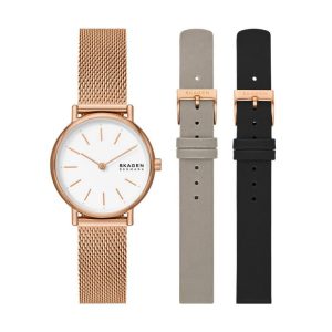 SKAGEN RELOJ SKW1153SET