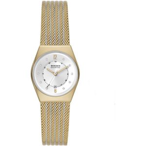 SKAGEN RELOJ SKW1156SET