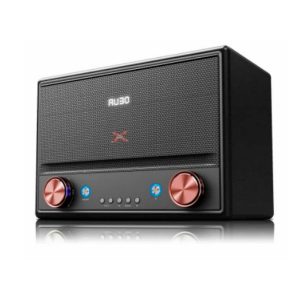 XION PARLANTE RETRO HI FI SYSTEM 10000W XI-XTRETRO