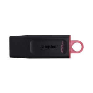 KINGSTON DATA TRAVELER USB 3.2 DTX/256GB