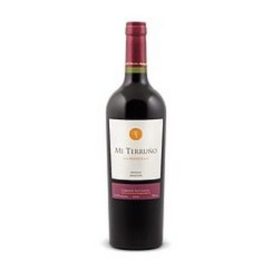 C Y T TERRUNIO CAB.SAUVIGNON