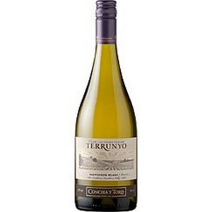 C Y T TERRUNIO SAUV.BLANC