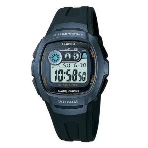 CASIO RELOJ W2101BVDF