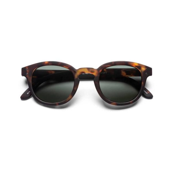 B+D ANTEOJOS BIG BOLD MATT TORTOISE +2.00