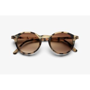 B+D ANTEOJOS SOLSKIN ROUND SHINY TORTOISE 4602-89