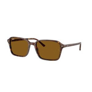 RAY BAN ANTEOJOS RB2231 141833 56
