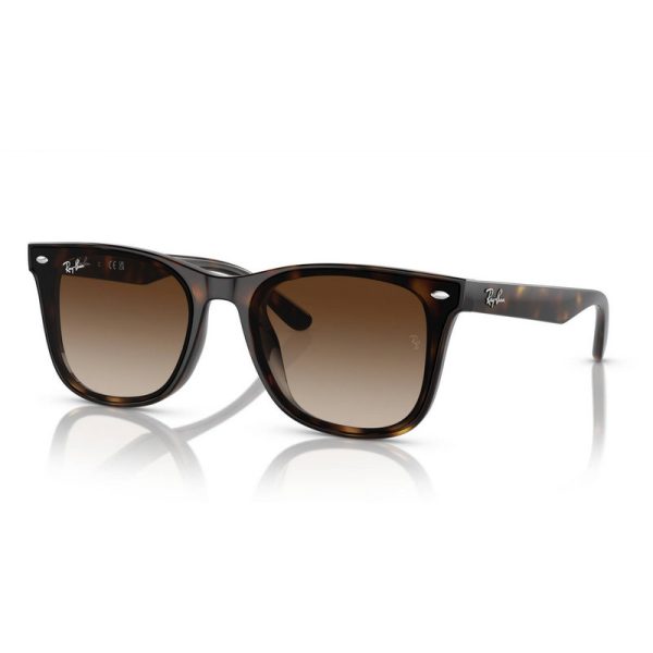 RAY BAN ANTEOJOS RB4420 710/13 65