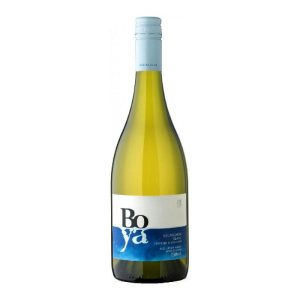 GARCES SILVA BOYA SAUV BL 0.75 LT