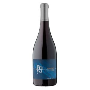 GARCES SILVA BOYA PINOT NOIR 0.75 LT