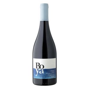 GARCES SILVA BOYA CABERNET FRANC 0.75 LT