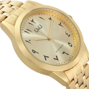 Q&Q RELOJ C00A-013PY