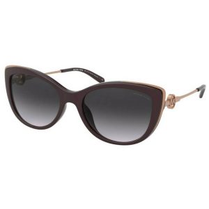 MICHAEL KORS ANTEOJOS MK2291U 33448G 54