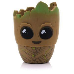 BITTY BOOMERS PARLANTE BT GROOT BITTYGROOT